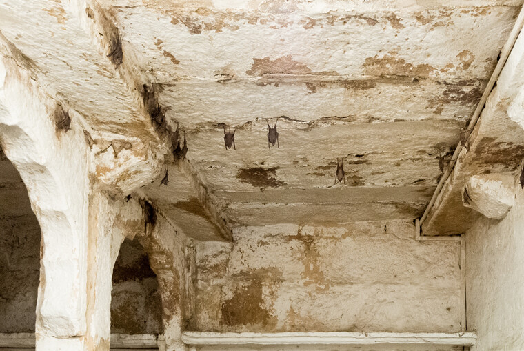 India 2014 - Jaisalmer 047.jpg